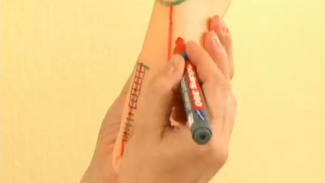 Су Джок терапия. Стандартная система соответствия телу на стопе.. Система насекомого. смотреть онлайн