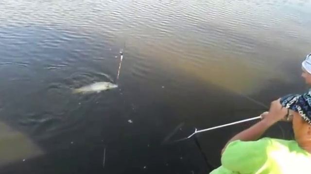 Секреты Генеральской рыбалки смотреть онлайн