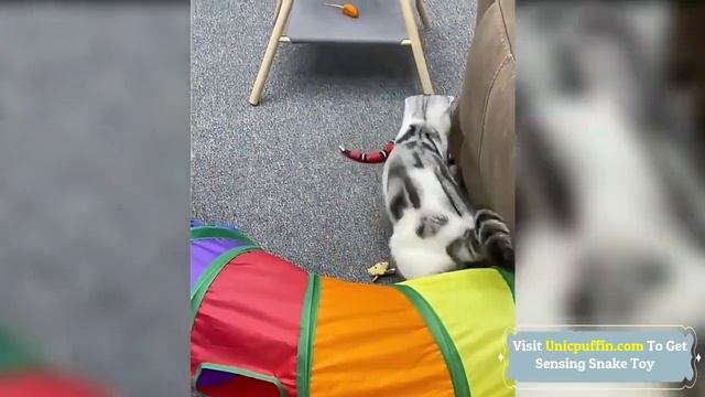 Smart Sensing Snake Toy For Cat Unboxing and Review 2022 Cat Toy That Moves 1 смотреть онлайн