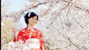 Когда цветёт сакура