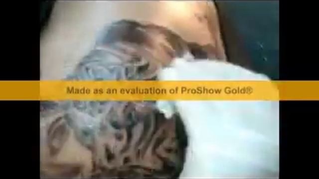 DAMIR TATTOO INK 1.avi смотреть онлайн