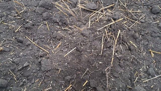 По советам с EQUINOX 700. Это поле не перестаёт удивлять.