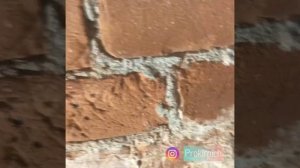 Чистка кирпичной стены от раствора, штукатурки, краски . Лофт и пескоструй обработка в старом фонде