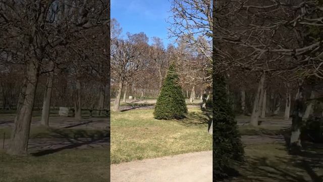 Петергоф Нижний парк смотреть онлайн