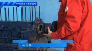 Сборка двигателя WEICHAI WP10 _bg78 +78123090997