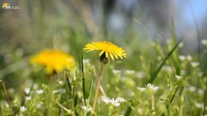 Сборник шедевров!!! Самая красивая музыка для души! Сергей Грищук