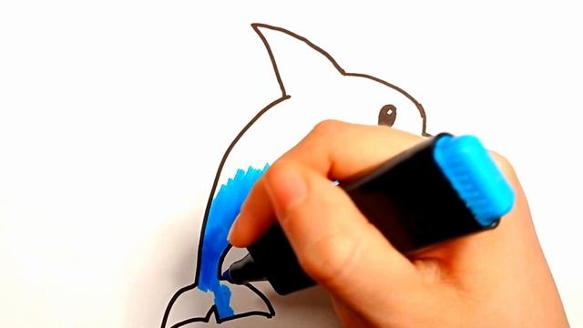 How to draw a Dolphin/Как нарисовать Дельфина/Cara menggambar lumba-lumba/Cómo dibujar un delfín смотреть онлайн