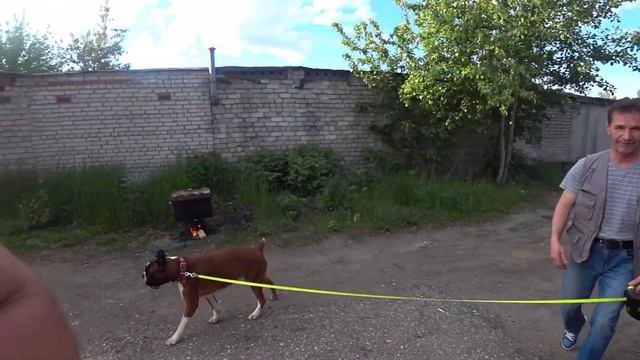 Подарки с Аргентины, Нам Прислал Вадим!Спасибо Большое!Отдых Под Пивас с Копчёным Салом! смотреть онлайн