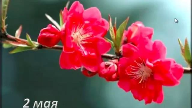 Медитации вдохновения на каждый день, 2 мая смотреть онлайн