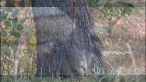 La chanson en français pour enfants. Весёлая детская французская песня.