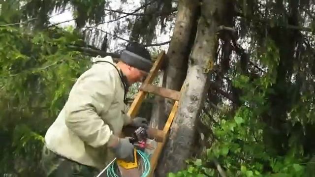 Роеловство на Вятке. Как я ставлю ловушки на пчел. Как заняться пчеловодством без затрат.