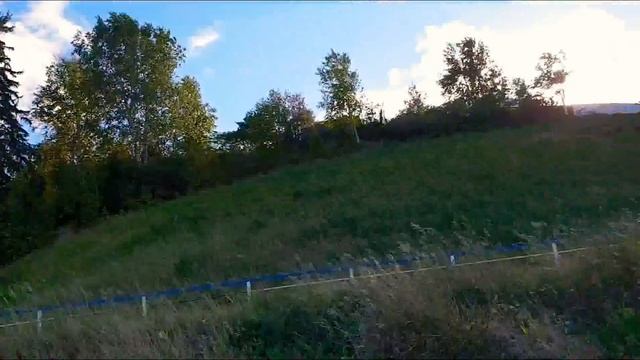 ВИРУСНЫЙ МЕНИНГИТ/ПАСТА С ГРИБАМИ/ДЕТСКИЙ ТРУД смотреть онлайн