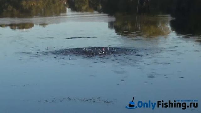 Рыбалка на реке Сосенка, в Ларево смотреть онлайн