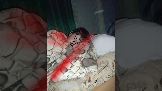 ТРЕК. Огонек! - ЗАЛУПНИК И ГОВНЮХА смотреть онлайн