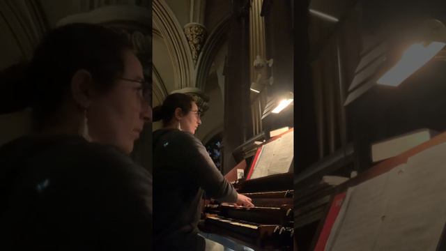 Johannes Brahms, O Welt, ich muss dich lassen (Nr. 3) on the Erben pipe organ смотреть онлайн