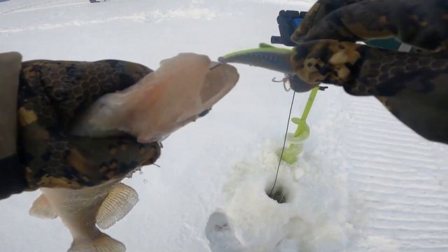 Судак Мало-Байдино смотреть онлайн