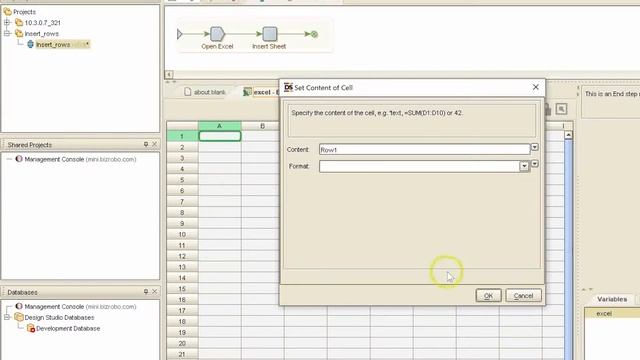 【BizRobo! Tutorial_action】How to Open Variable, Insert Sheet & Row in Excel смотреть онлайн