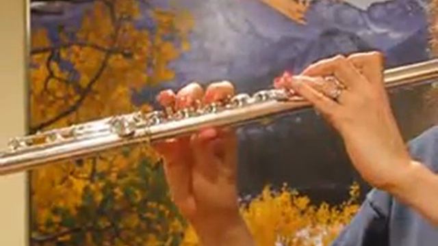 Altus 907 Flute (Barely Used) - Response Demo смотреть онлайн