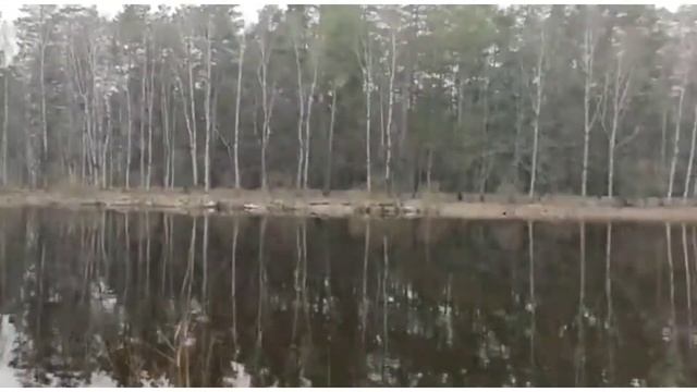 Медведь проснулся в Рязанской области ? смотреть онлайн