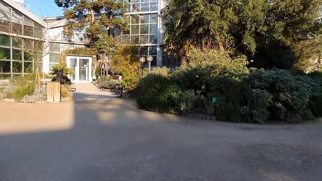 Palmengarten in Frankfurt смотреть онлайн