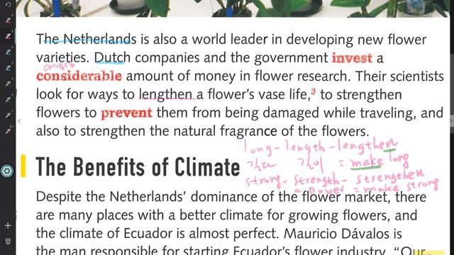 reading explorer 2 7a смотреть онлайн