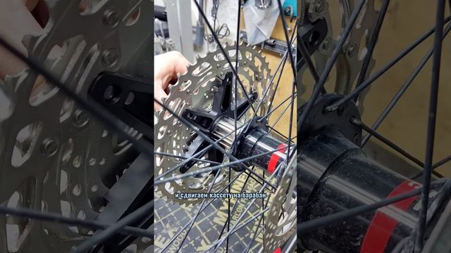 Быстрая установка кассеты SHIMANO 11S.Напишите: какие мысли по этому поводу? смотреть онлайн