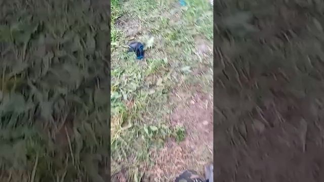 Яма под дачный туалет смотреть онлайн