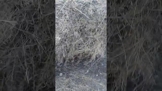 Ваз 2107 удивит смотреть онлайн
