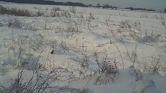 УДАЧНАЯ ОХОТА НА ЗАЙЦА 2024. Тестирую GPS-ошейник ARTELV смотреть онлайн