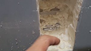 Холодильник Элетролюкс.Снег внутри холодильника.