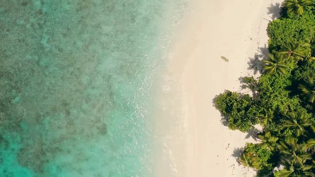 Медитация: шум океанских волн смотреть онлайн