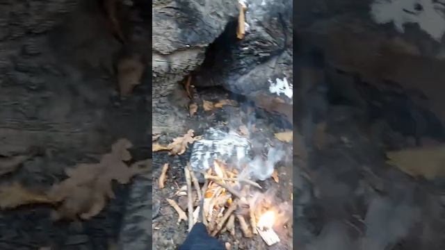 24 ЧАСА В ЛЕСУ//ЛАЙФХАКИ ДЛЯ ВЫЖИВАНИЯ//ЛУЧШАЯ РАСТОПКА ДЛЯ КОСТРА смотреть онлайн
