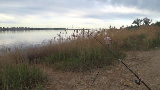 ВОДА КИПИТ ОТ РЫБЫ ЖОР КРУПНОЙ РЫБЫ ЛОВЛЯ ГОЛАВЛЯ НА ВОЛГЕ РЫБАЛКА НА ЗАКИДУШКИ РЫБАЛКА 2021 смотреть онлайн