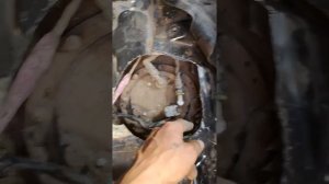 Лючок для доступа к топливному насосу из салона. Suzuki GRAND VITARA 2007/2AT