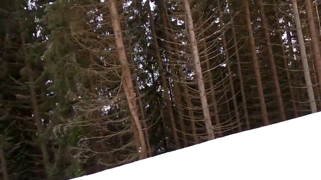 Я катаюсь на лыжах в Буковеле!!! смотреть онлайн