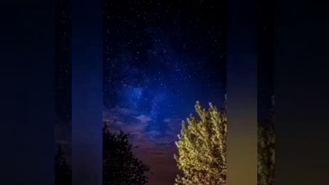 Феномен электронных голосов. 16.01.2021 г. смотреть онлайн