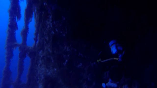 Zenobia смотреть онлайн