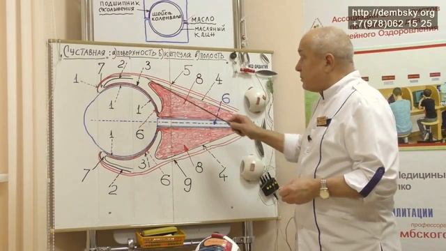 Не вредит ли операция склеропластика движению глаза в глазнице смотреть онлайн
