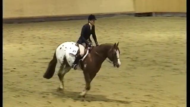 Mr. Sunny Royal Jack & Hunter Hack смотреть онлайн