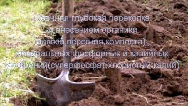 Копать или не копать ?