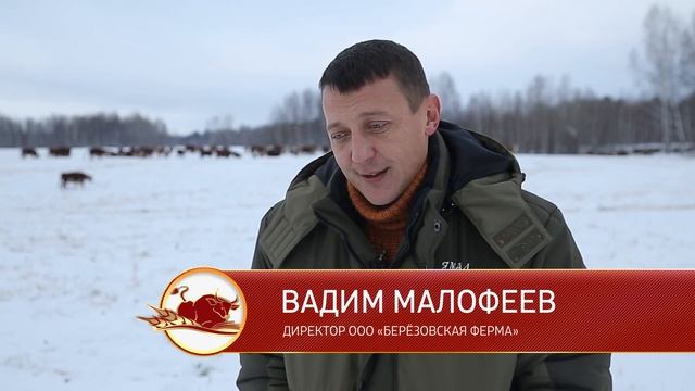 Мраморная ферма 2017 смотреть онлайн