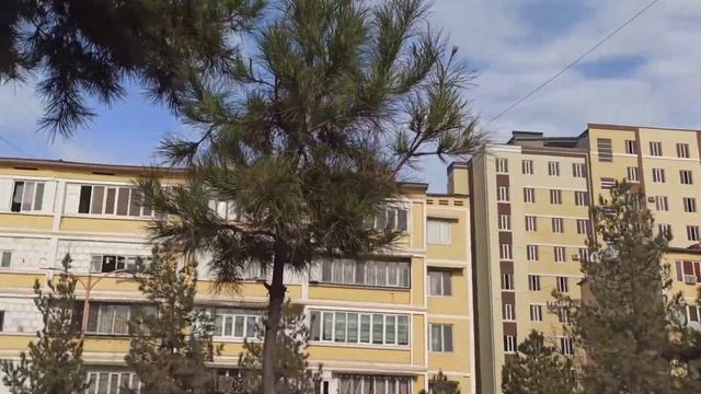 Прогулка по Курган-Тюбе по Кохи Фарханг #лайк #курган #подписки смотреть онлайн