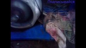 Как снять дино-стартер без стандартного съемника на мотороллере муравей