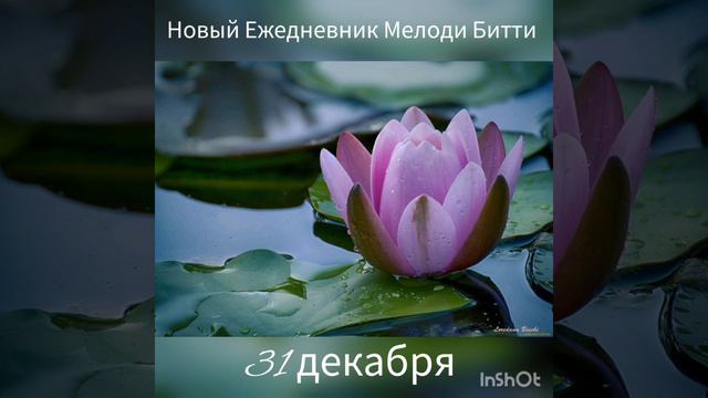 31 декабря 2022 г. смотреть онлайн