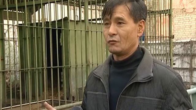 Комментарий к медведице Маше смотреть онлайн
