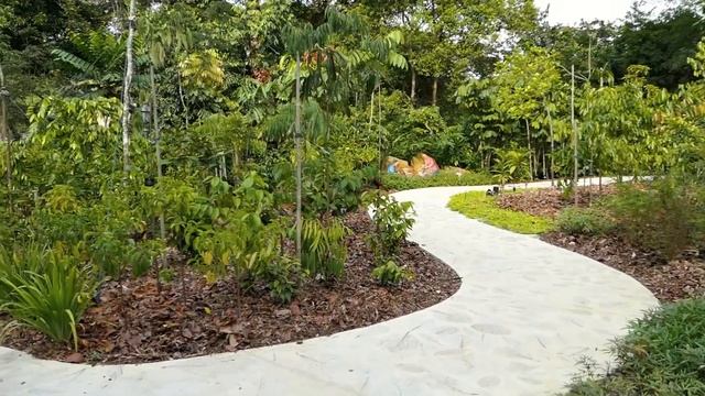 Exploring Singapore Botanic Gardens смотреть онлайн