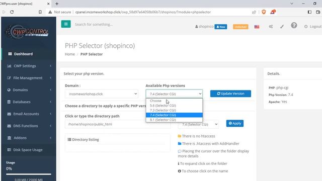 12 Install Wordpress on your hosted domain смотреть онлайн