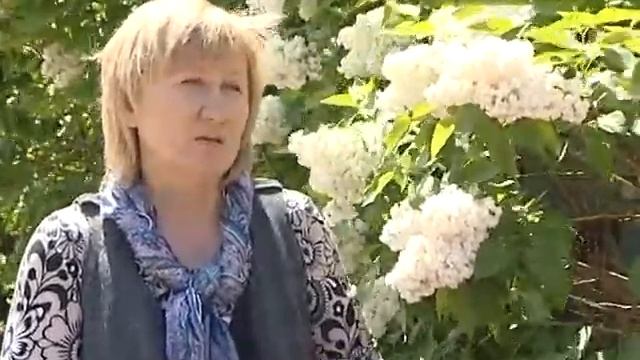 2016 07 19 Зелёная передача смотреть онлайн