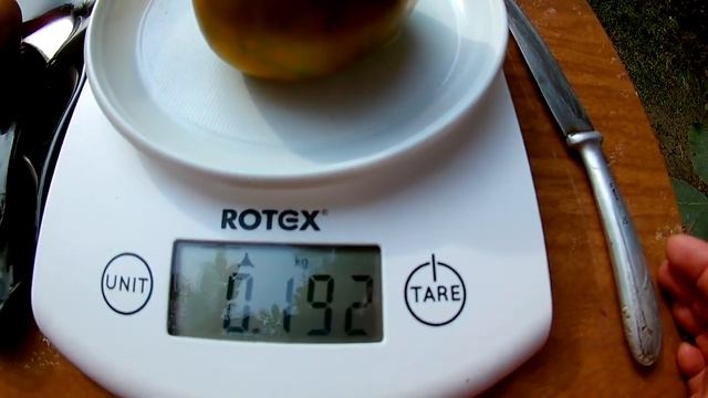 Томат Изумрудное яблоко смотреть онлайн