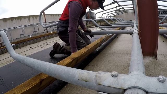 IMPROVING CLEANLINESS IN THE CUBICLES // BRISKET BOARD INSTALL смотреть онлайн